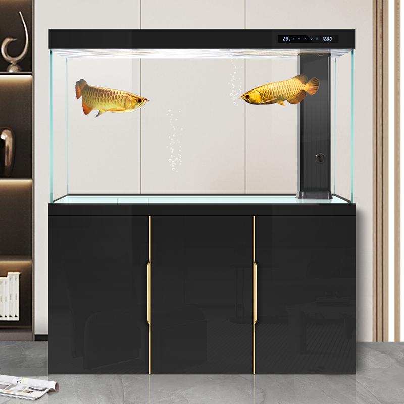 Aquarium Fish Dragon - Acquario soggiorno 2025 nuovo vetro ultra-bianco