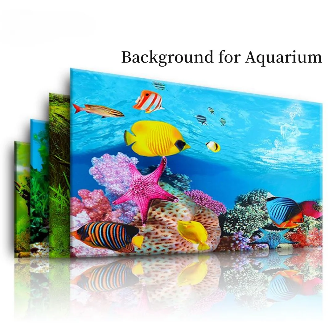 Aquarium Fish Only - Sfondo Acquario Adesivo 3D Poster Decorazione