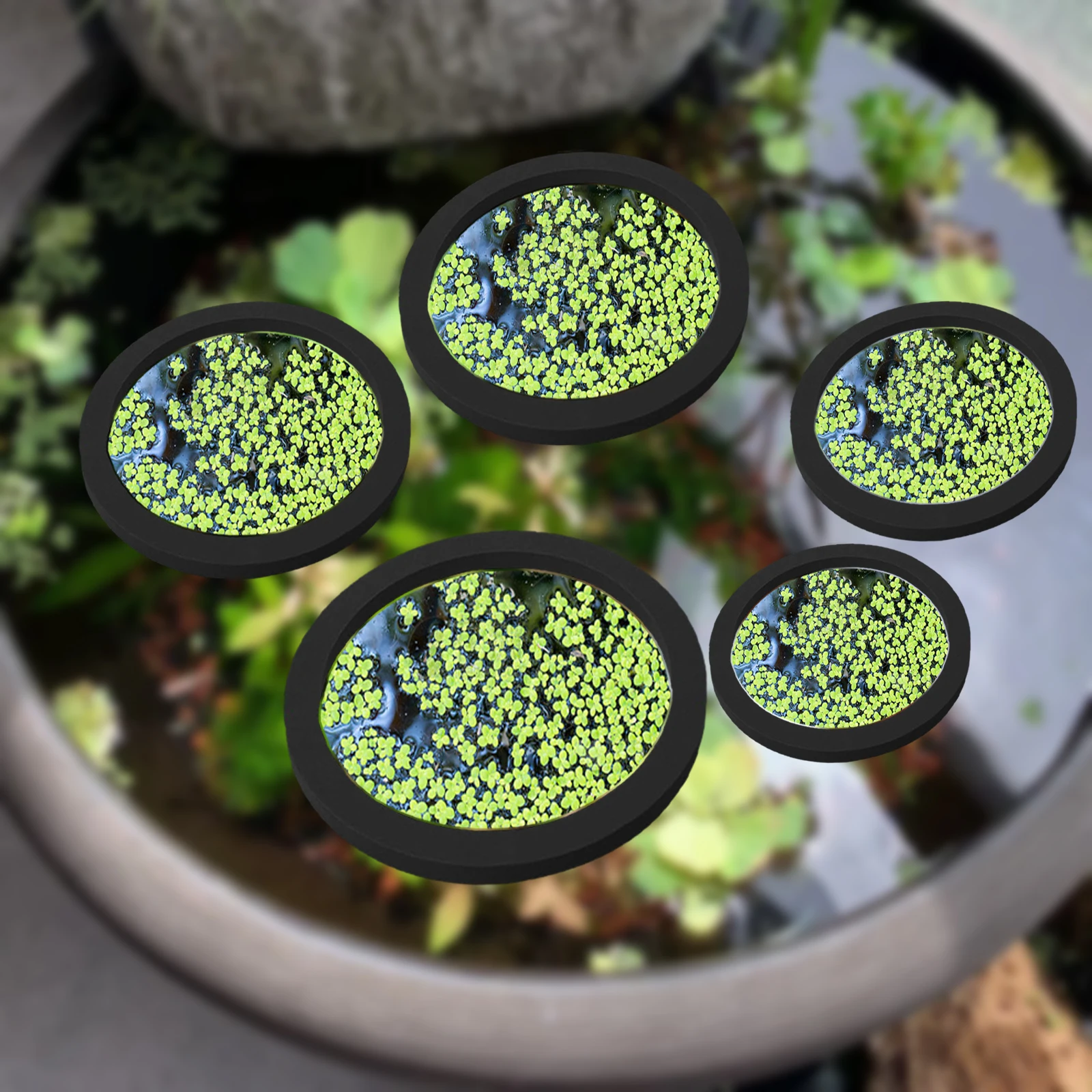 Aquarium Fish Pond - 5 pz EVA Anello di Alimentazione