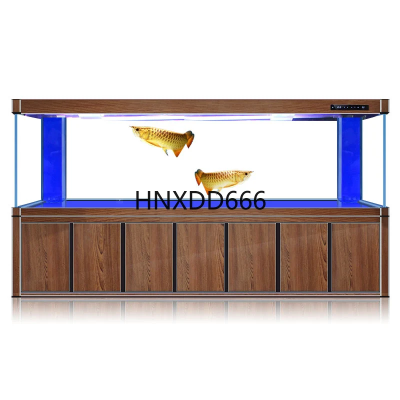 Aquarium Fish Dragon - Grande acquario per pesci drago dorati,