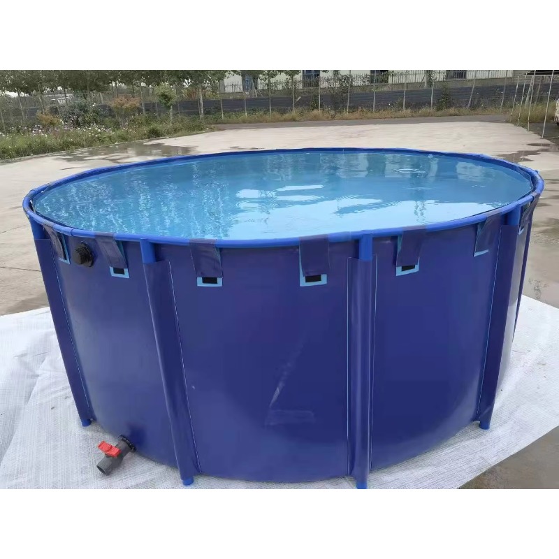 Aquarium Fish Big Size - Vasca per Pesci da Allevamento Koi