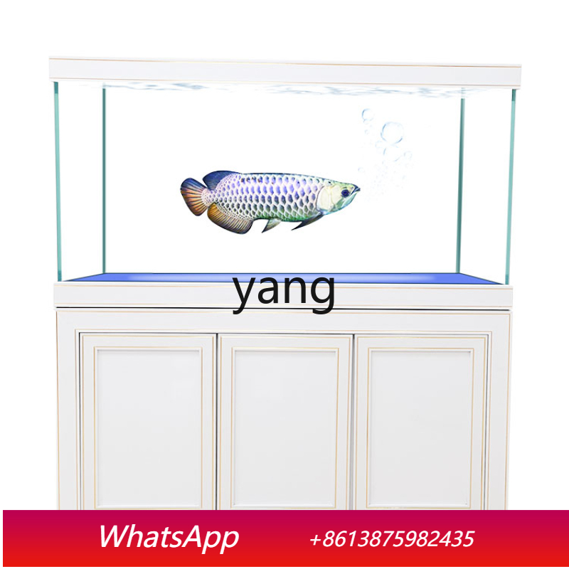 Aquarium Fish Dragon - Acquario Ecologico Professionale LH Super White