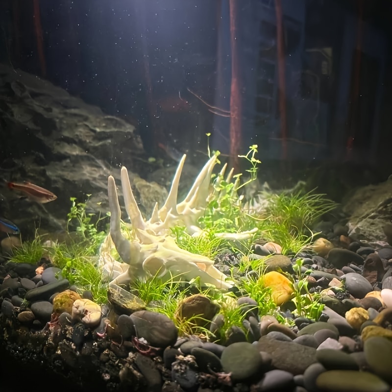Decorazione a Forma di Drago p - Aquarium Fish Dragon recensione e prezzo