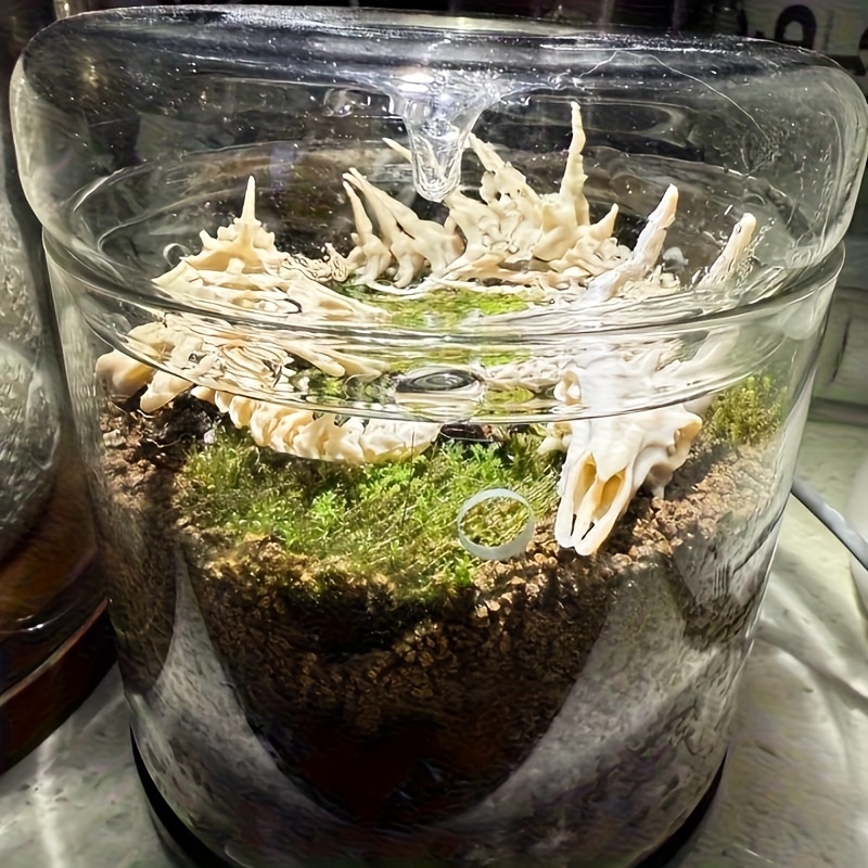 Decorazione a Forma di Drago p - Aquarium Fish Dragon recensione e prezzo