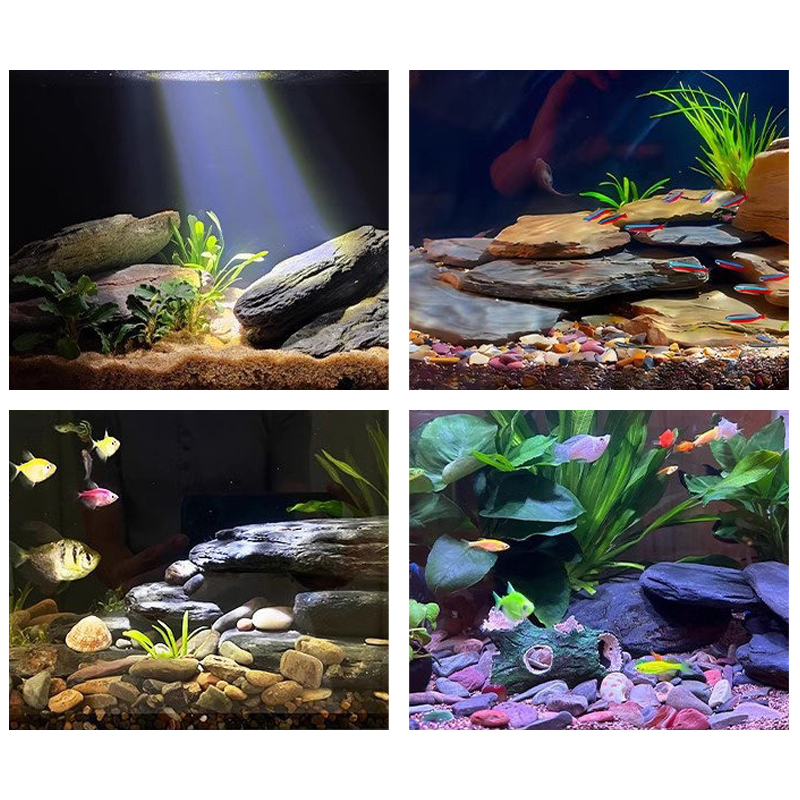 Kit di Pietre per Acquario 500 - Aquarium Fish Guppy recensione e prezzo