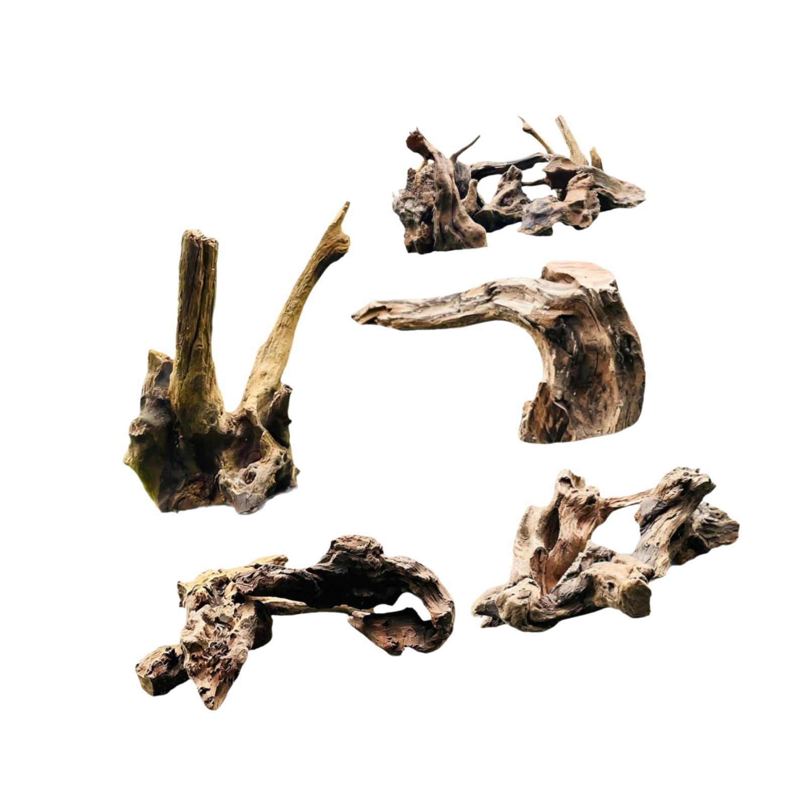 5 Pezzi di Legno Naturale per  - Aquarium Fish Unique recensione e prezzo
