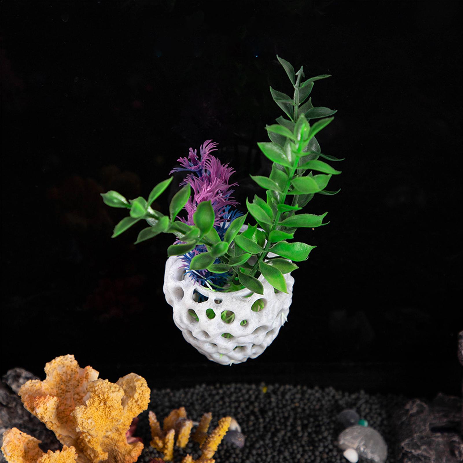 Mini Casetta per Gamberetti da - Aquarium Fish Hiding Spot recensione e prezzo