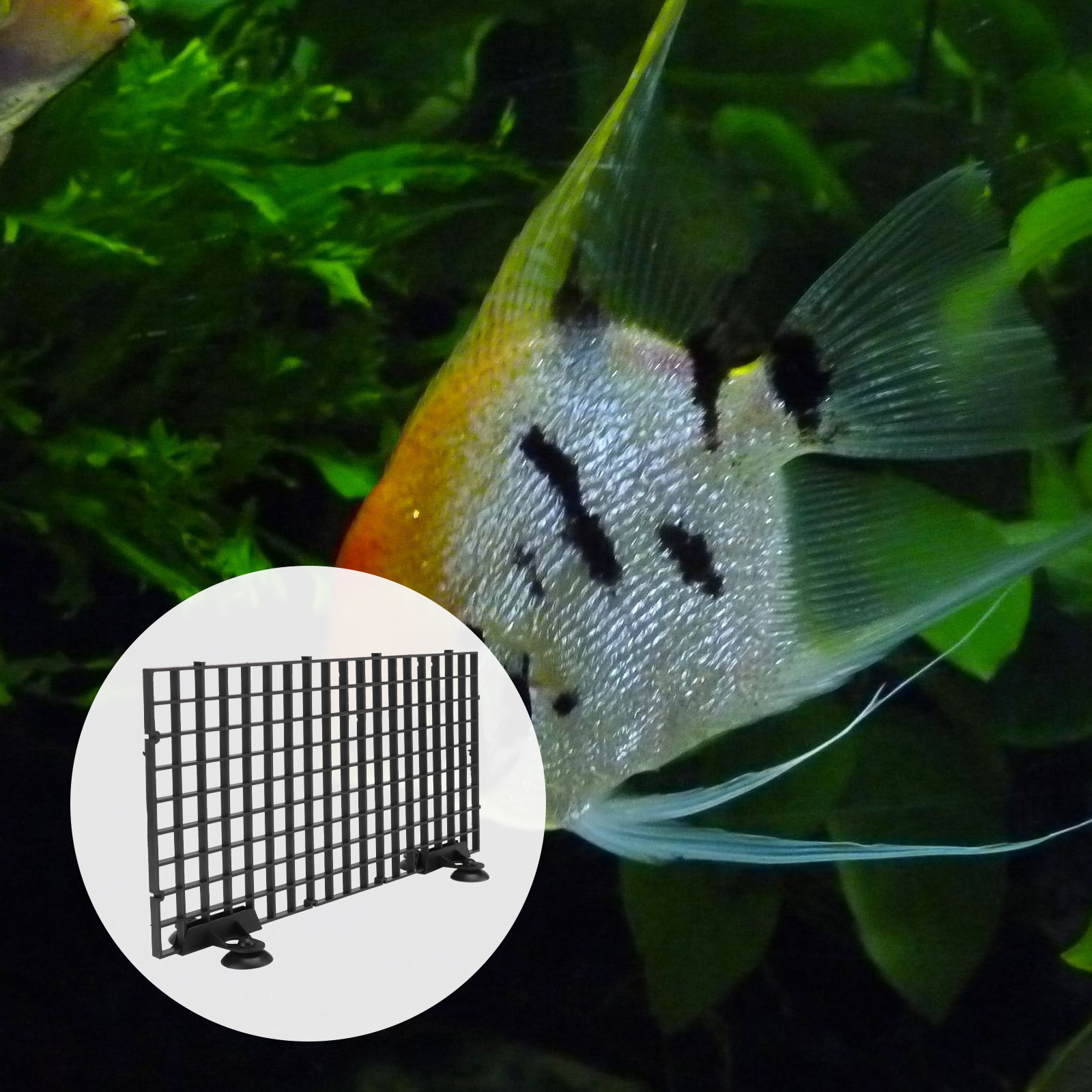 Rete per allevamento pesci di  - Aquarium Fish Big Size recensione e prezzo