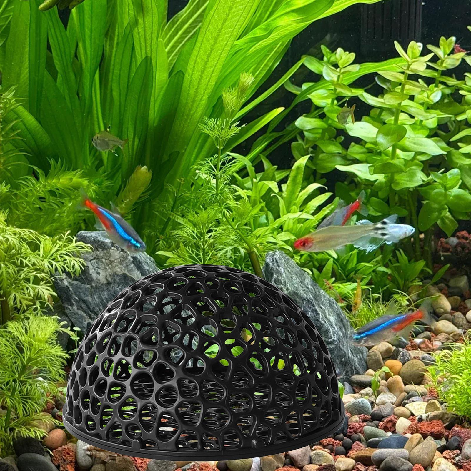 Casetta per Gamberetti da Acqu - Aquarium Fish Hiding Spot recensione e prezzo