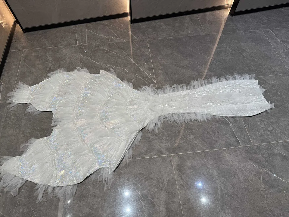 Costume da bagno originale Ang - Aquarium Fish Angel recensione e prezzo