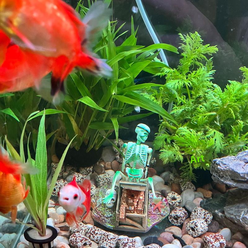 Acquario Aerobico Paesaggio Bu - Aquarium Fish Only recensione e prezzo