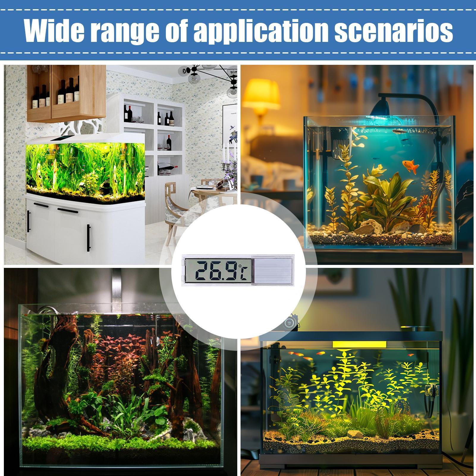 Indicatore di temperatura dell - Aquarium Fish Freshwater recensione e prezzo