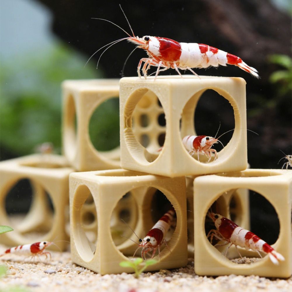 Nascondiglio per Gamberetti da - Aquarium Fish Hiding Spot recensione e prezzo