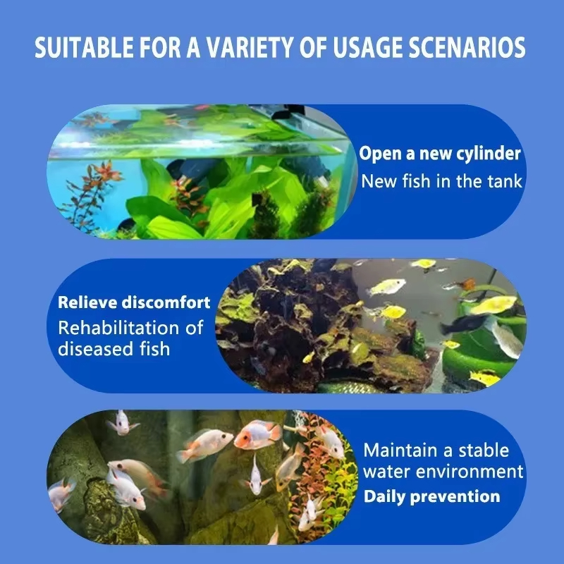 SIKEZHAN Trattamento malattie  - Aquarium Fish Freshwater recensione e prezzo