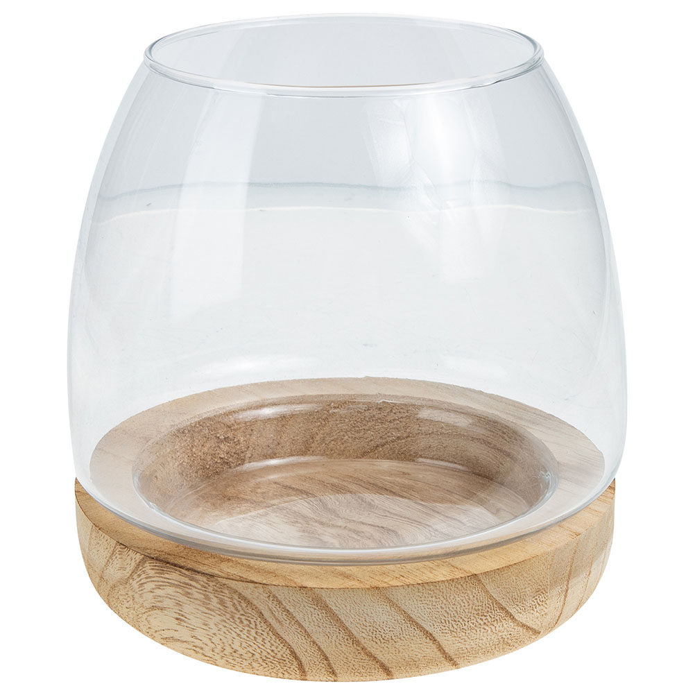 Set di Terrari in Vetro Traspa - Aquarium Fish Unique recensione e prezzo
