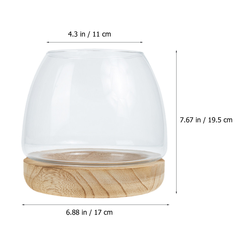 Set di Terrari in Vetro Traspa - Aquarium Fish Unique recensione e prezzo