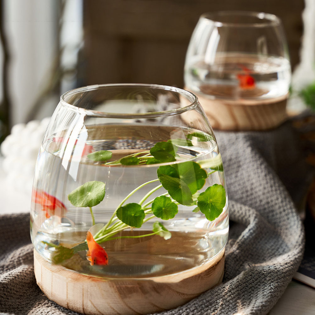 Set di Terrari in Vetro Traspa - Aquarium Fish Unique recensione e prezzo