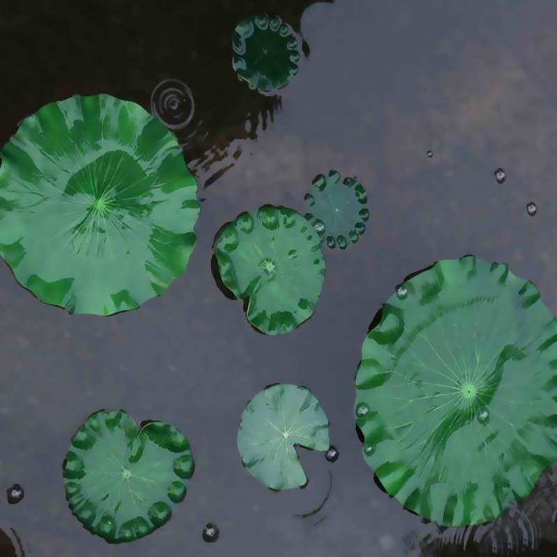 Foglie di Loto Artificiali Sen - Aquarium Fish Pond recensione e prezzo