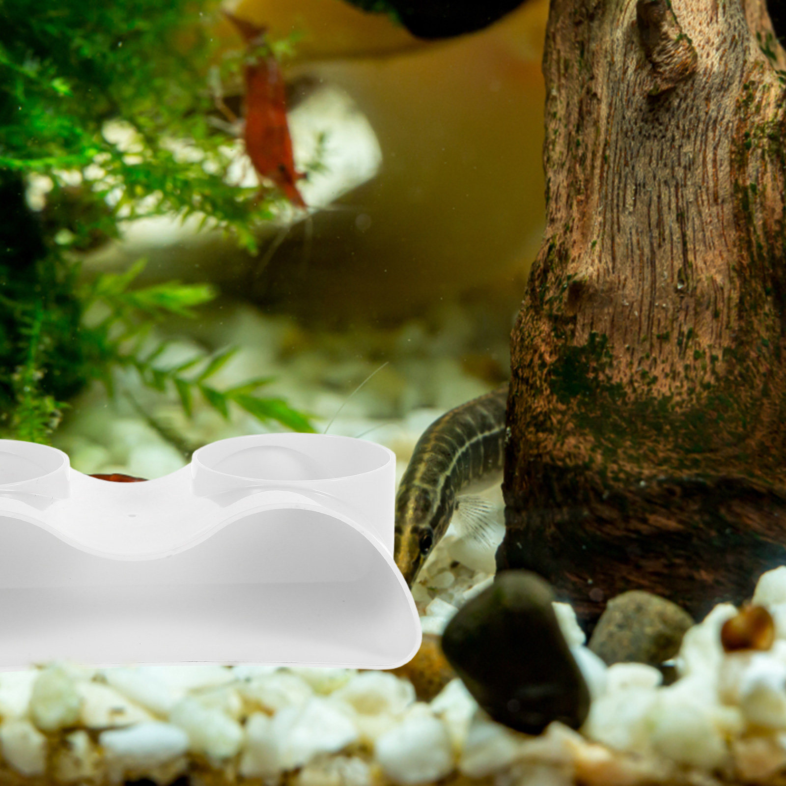 Decorazione per Acquario a For - Aquarium Fish Hiding Spot recensione e prezzo