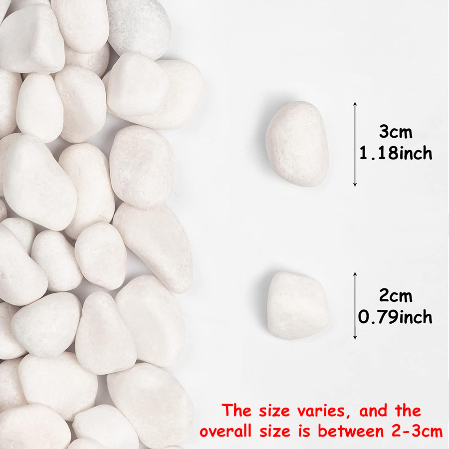 200/400g Bianco Alto Lucido Ci - Aquarium Fish Guppy recensione e prezzo