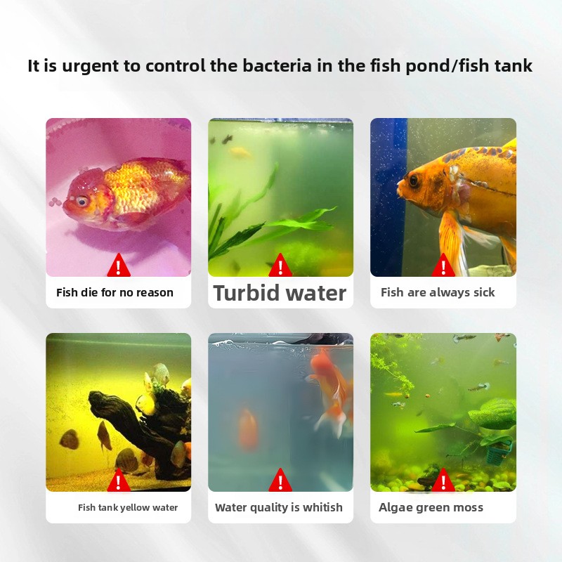 HUACHU Sale d'acquario per pes - Aquarium Fish Freshwater recensione e prezzo