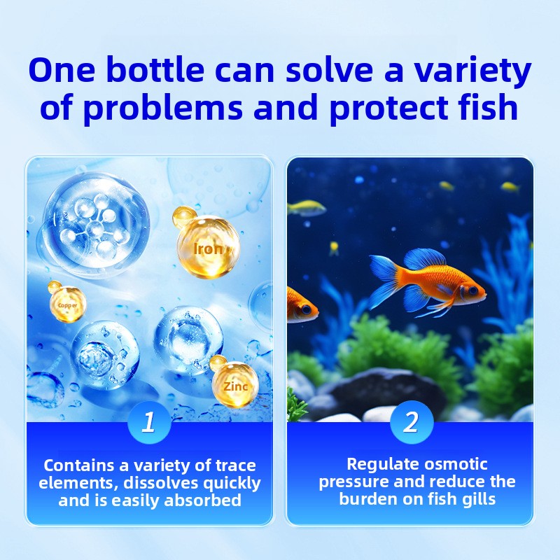 HUACHU Sale d'acquario per pes - Aquarium Fish Freshwater recensione e prezzo