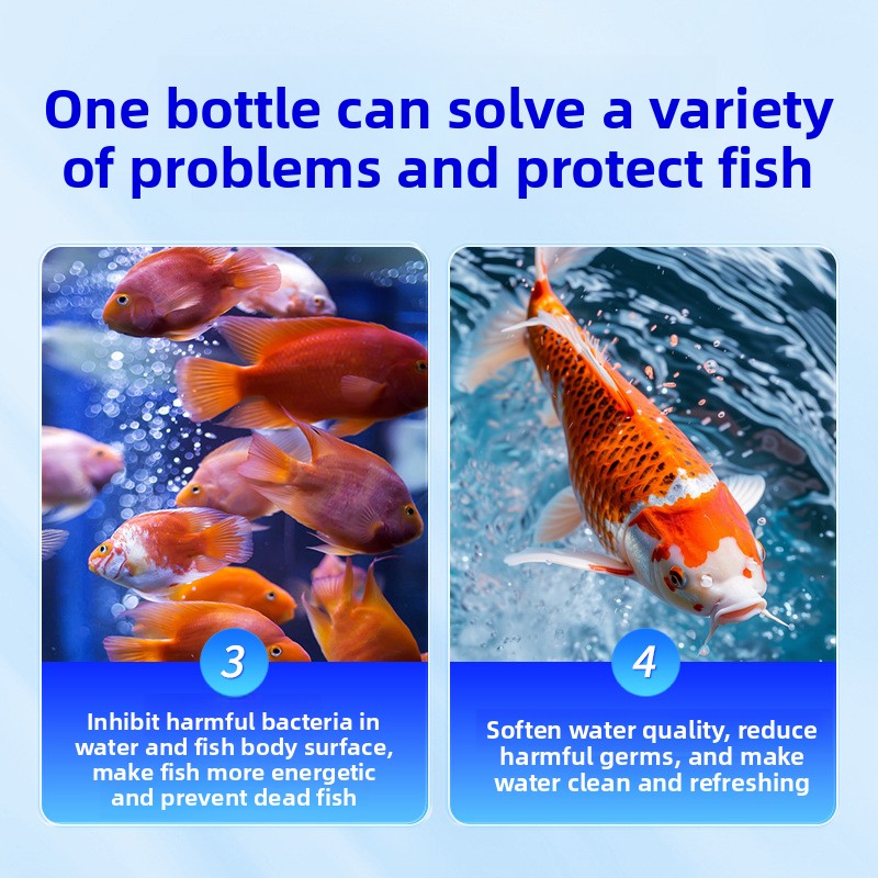 HUACHU Sale d'acquario per pes - Aquarium Fish Freshwater recensione e prezzo