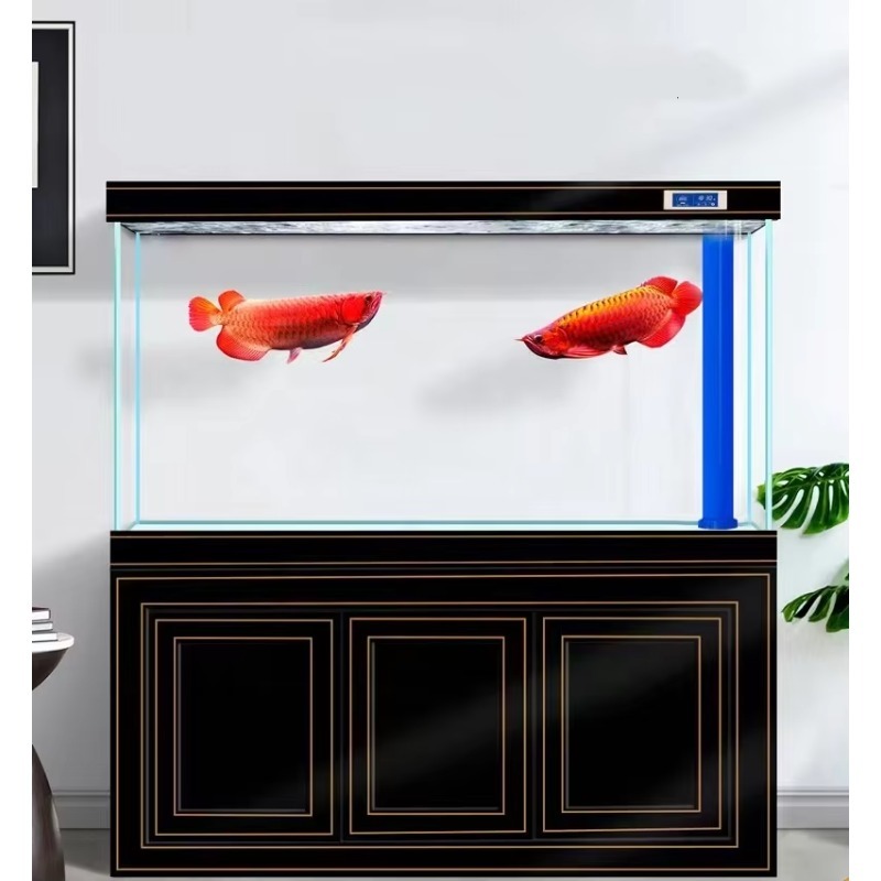 Acquario da Soggiorno in Vetro - Aquarium Fish Dragon recensione e prezzo