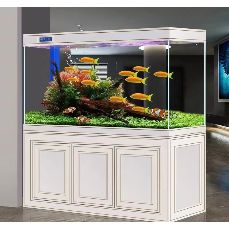 Acquario da Soggiorno in Vetro - Aquarium Fish Dragon recensione e prezzo