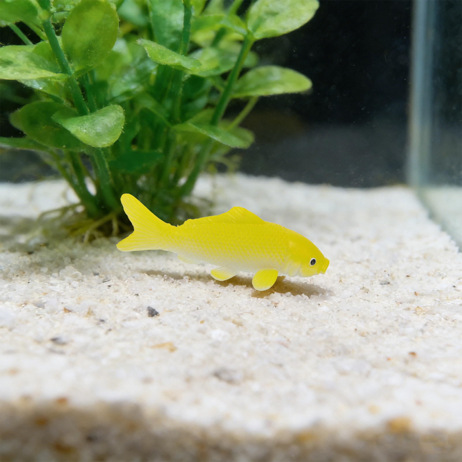 Set di 3 Statuette di Pesci Re - Aquarium Fish Pond recensione e prezzo
