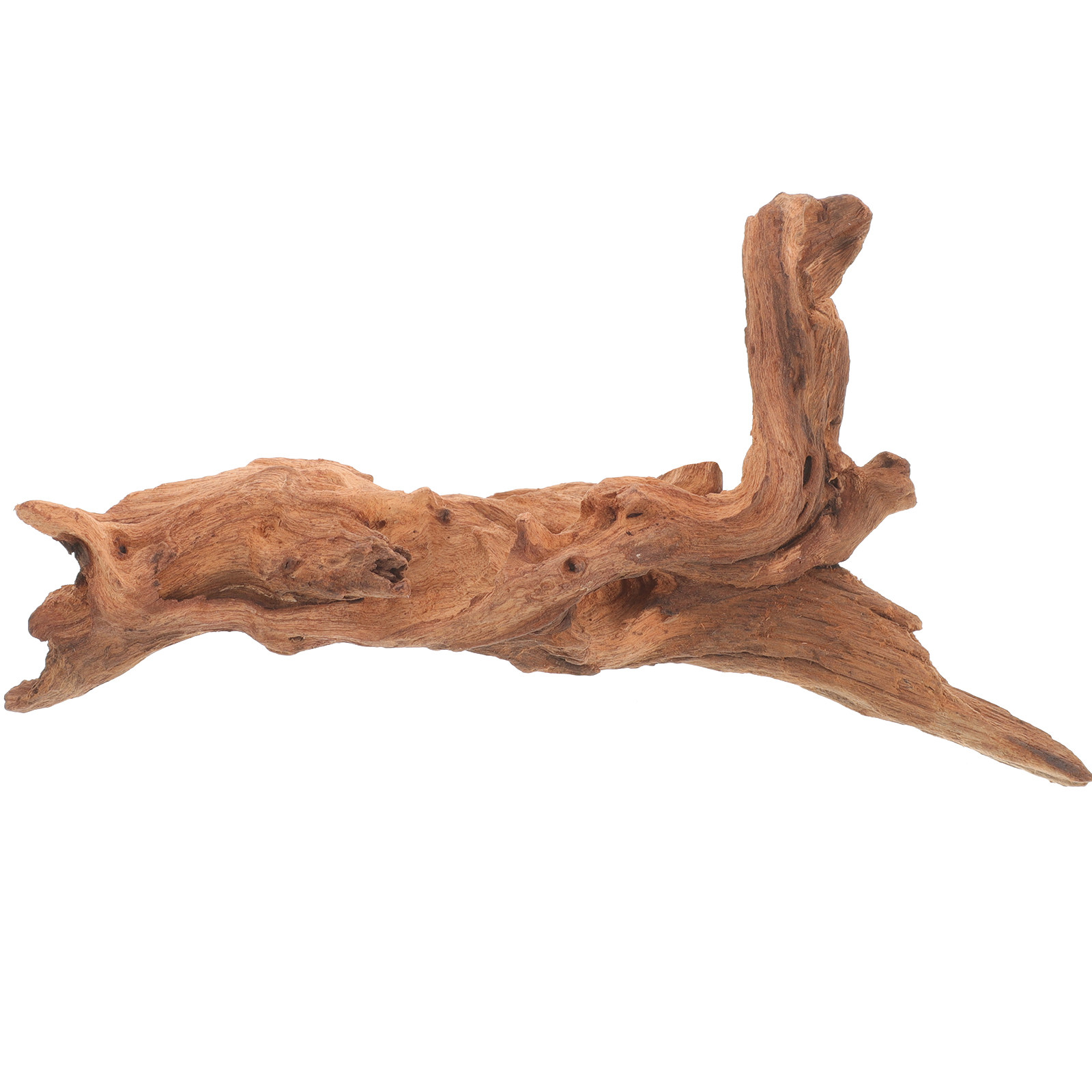 Decorazione in Legno Naturale  - Aquarium Fish Unique recensione e prezzo