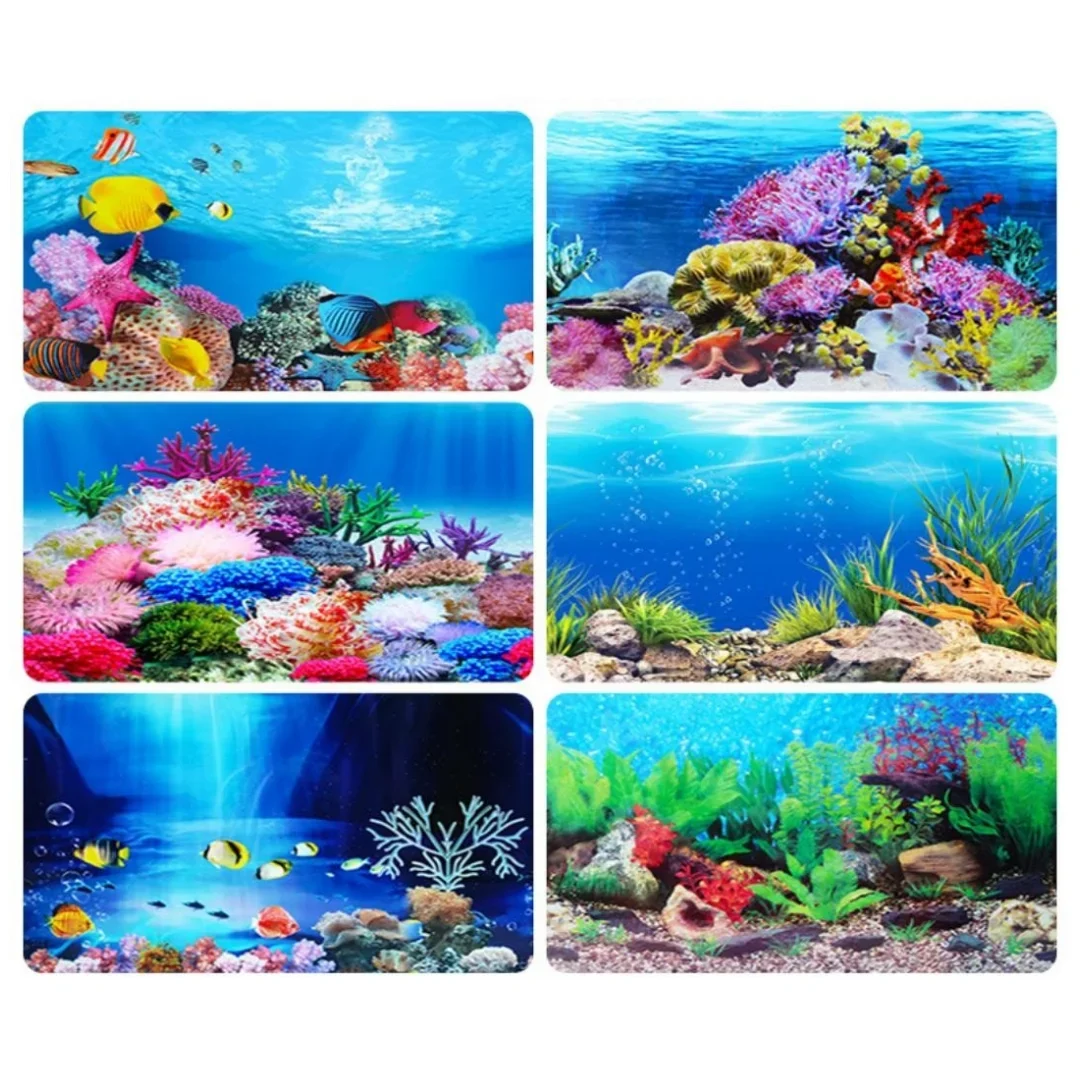 Sfondo Acquario Adesivo 3D Pos - Aquarium Fish Only recensione e prezzo