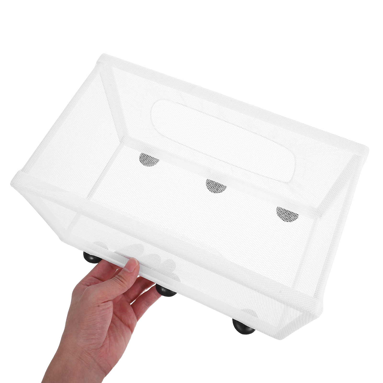 Incubatrice per Pesci di Grand - Aquarium Fish Big Size recensione e prezzo