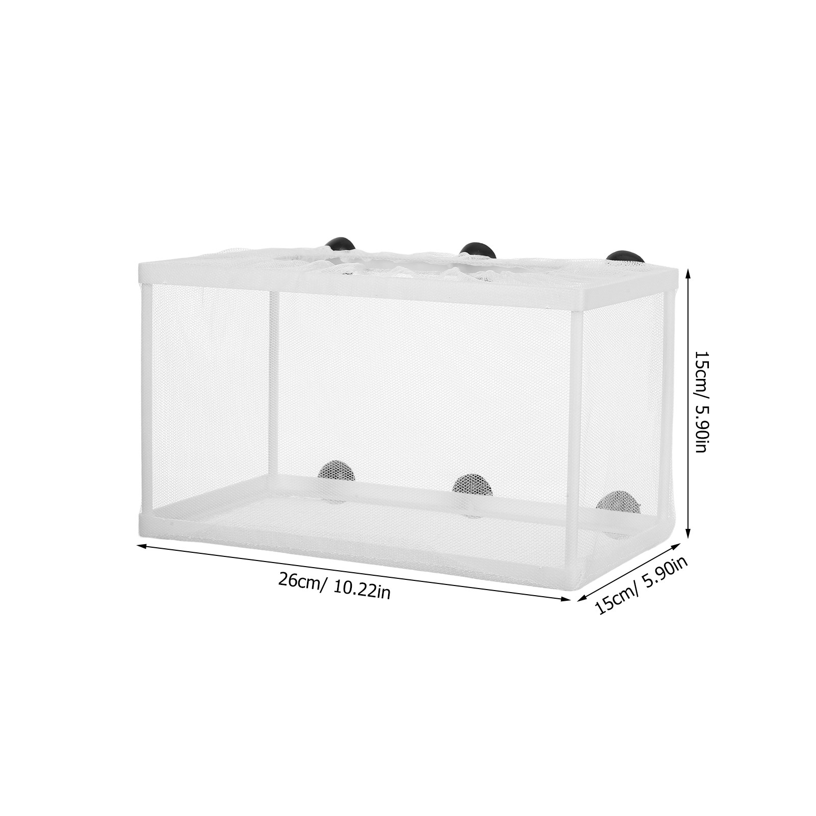 Incubatrice per Pesci di Grand - Aquarium Fish Big Size recensione e prezzo