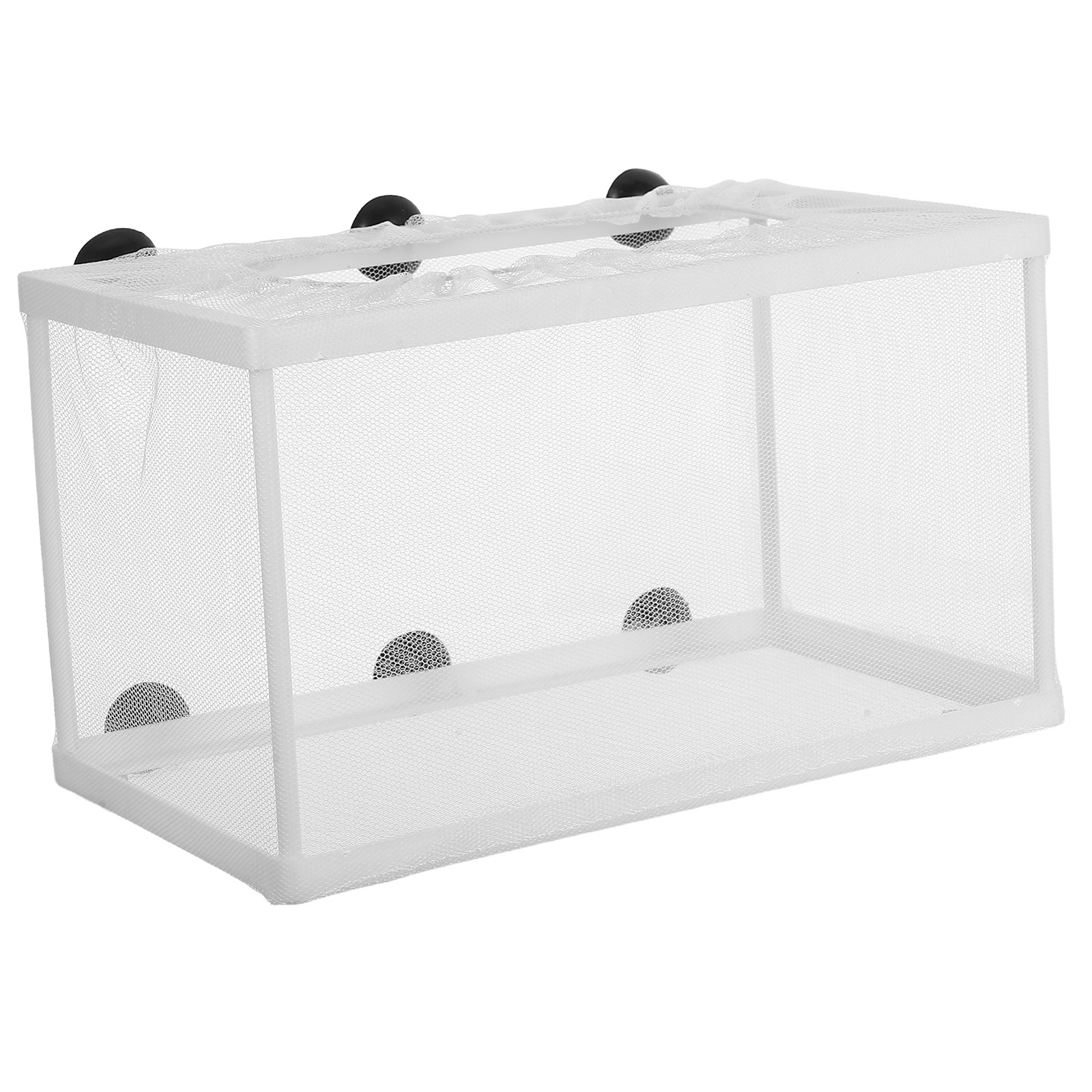 Incubatrice per Pesci di Grand - Aquarium Fish Big Size recensione e prezzo