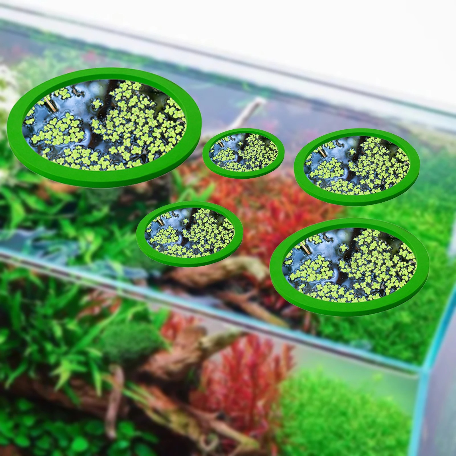 5 pz EVA Anello di Alimentazio - Aquarium Fish Pond recensione e prezzo