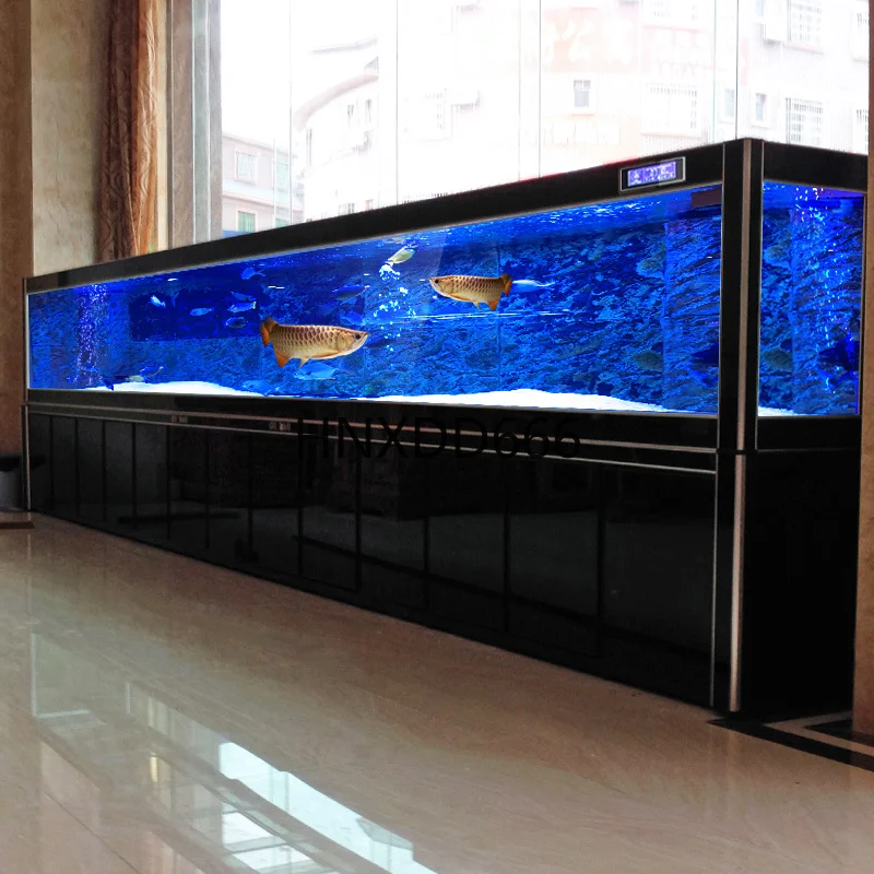 Grande acquario per pesci drag - Aquarium Fish Dragon recensione e prezzo