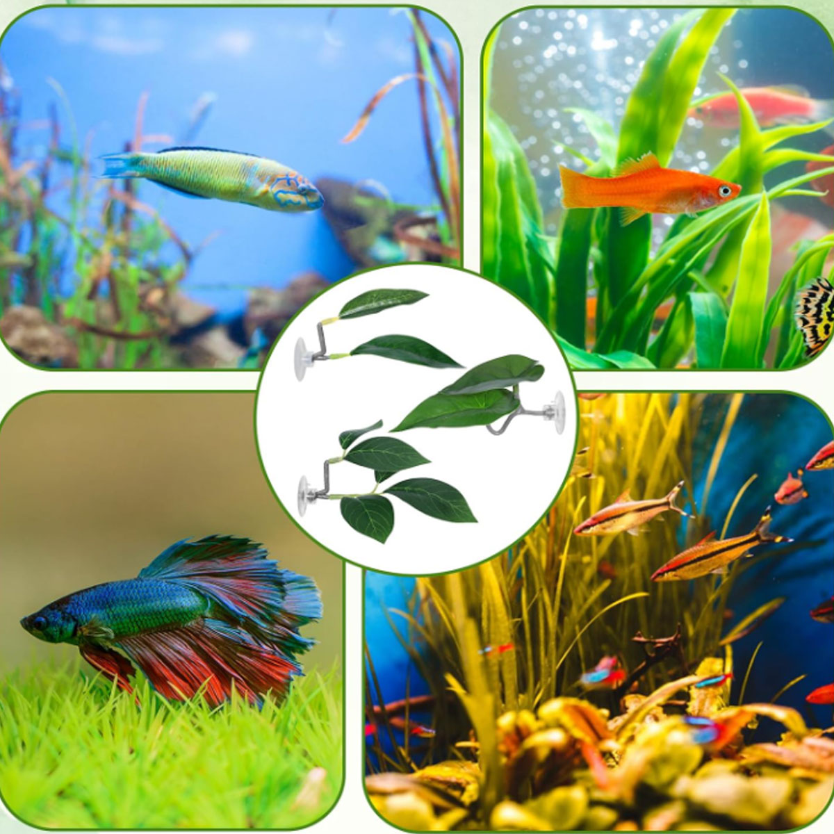 1 Amaca per Pesci Betta, Decor - Aquarium Fish Only recensione e prezzo