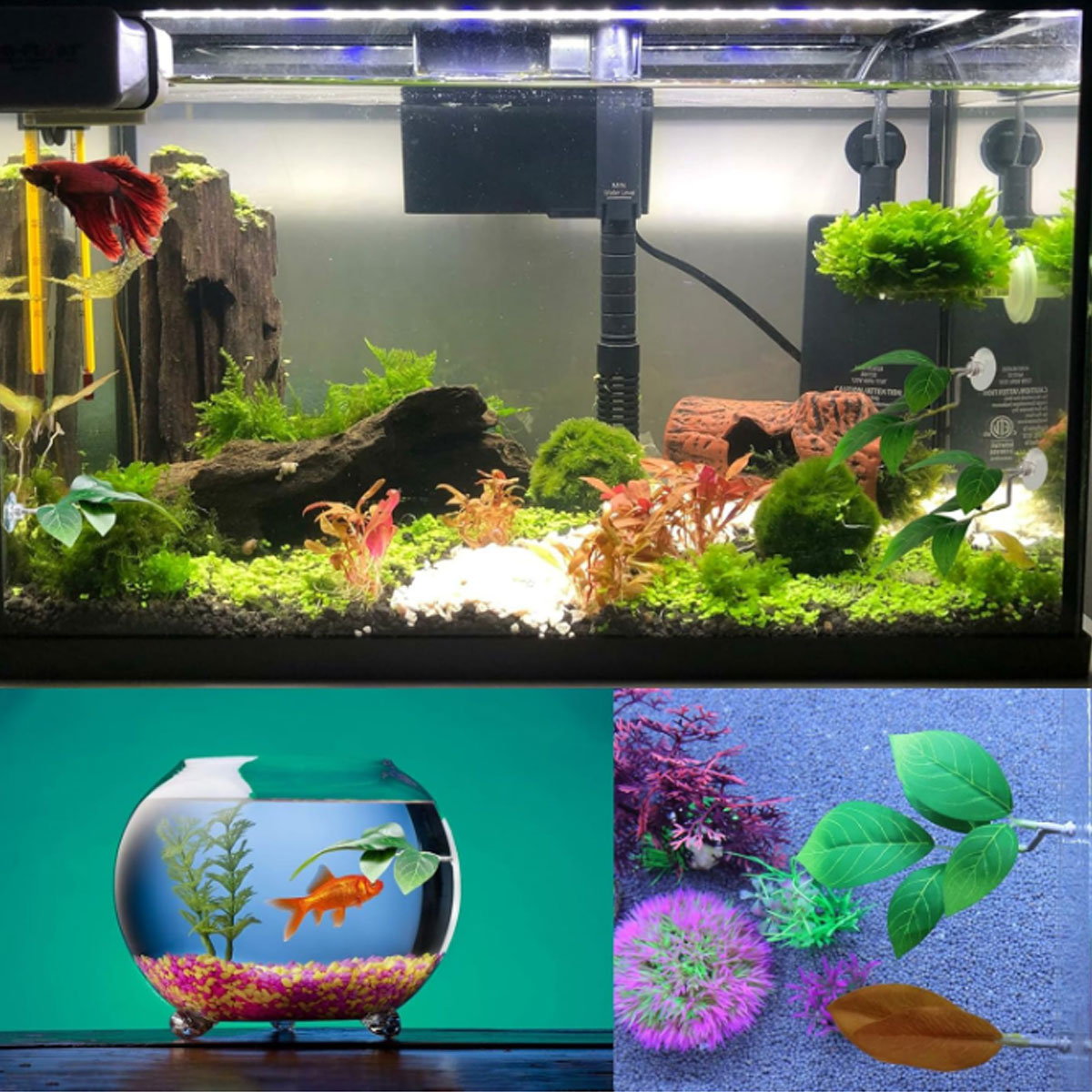 1 Amaca per Pesci Betta, Decor - Aquarium Fish Only recensione e prezzo