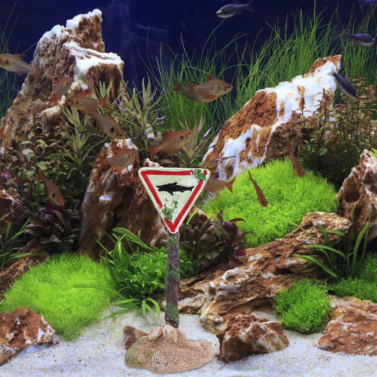 Cartello di Avvertimento in Re - Aquarium Fish Unique recensione e prezzo