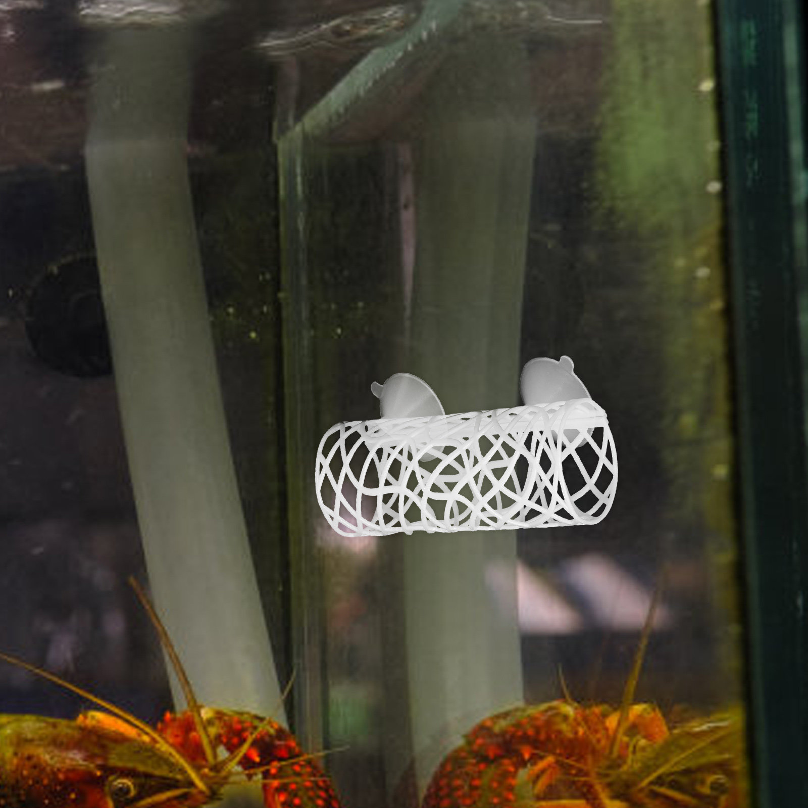 1 Set Tunnel Rifugio per Acqua - Aquarium Fish Unique recensione e prezzo