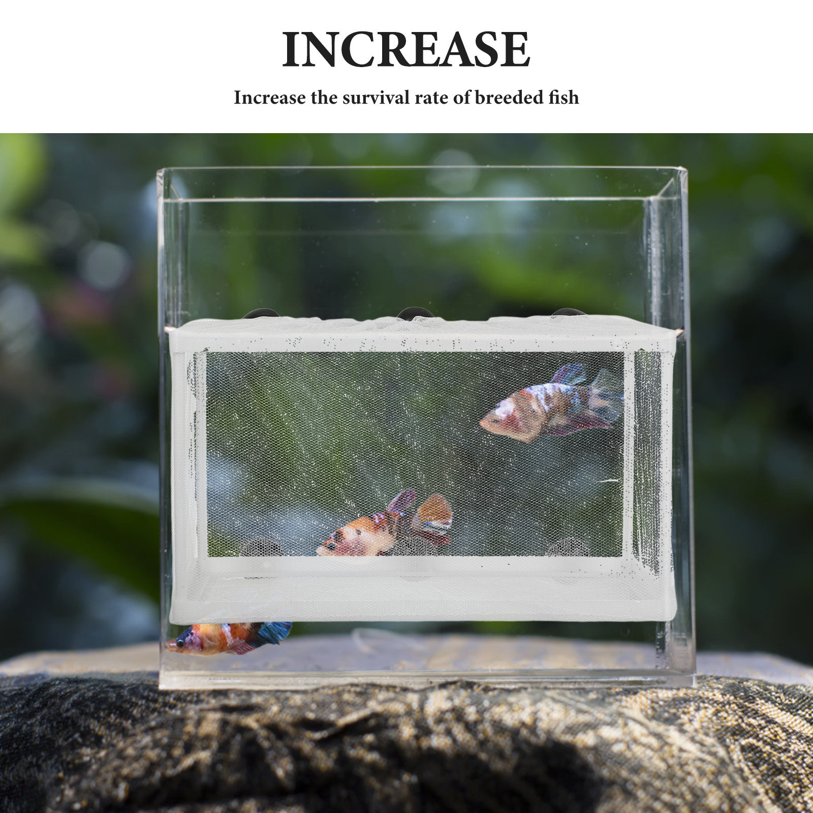 Rete per l'allevamento dei pes - Aquarium Fish Big Size recensione e prezzo