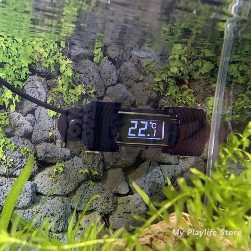 Termometro per acquario termom - Aquarium Fish Freshwater recensione e prezzo