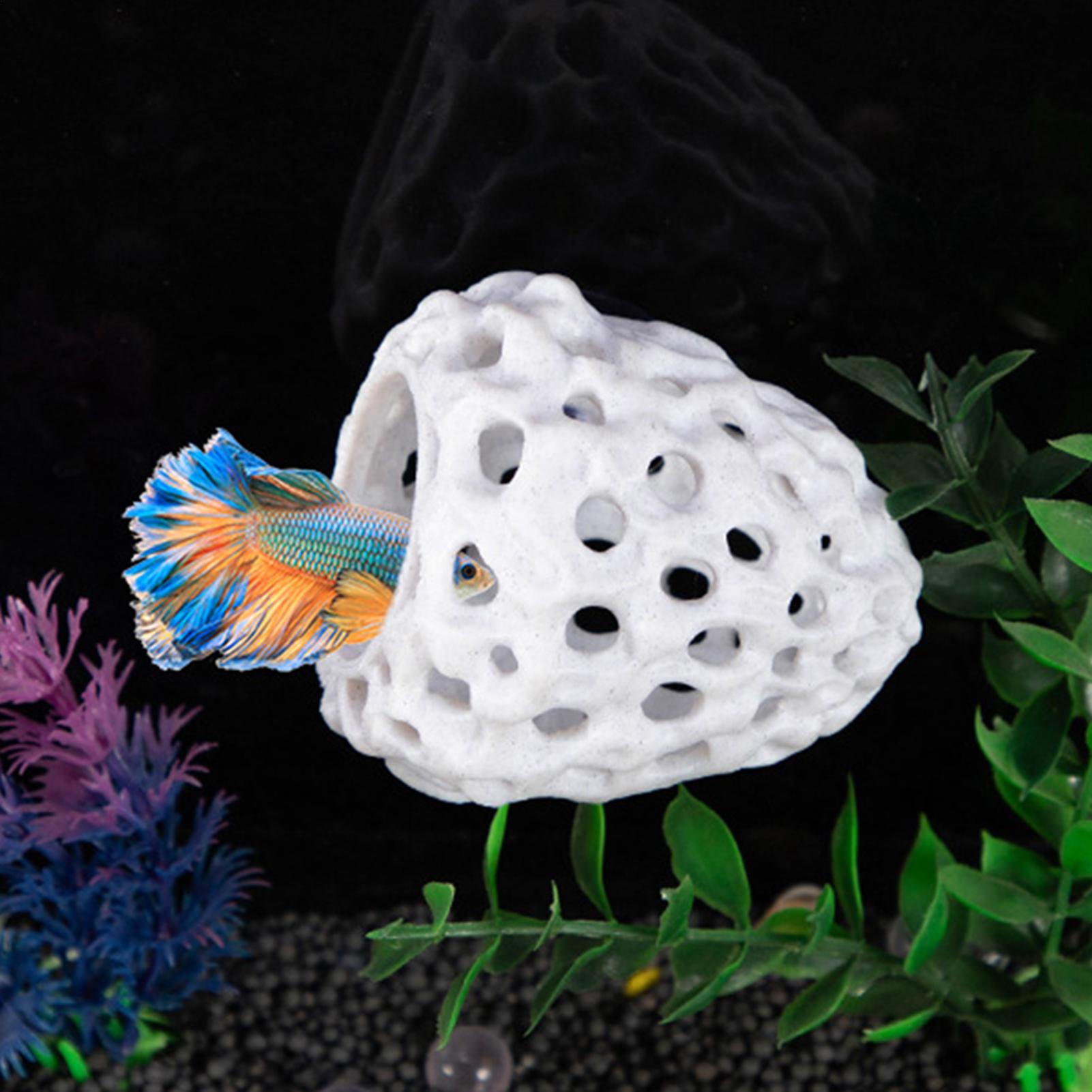 Acquario casa di gamberetti Gr - Aquarium Fish Hiding Spot recensione e prezzo
