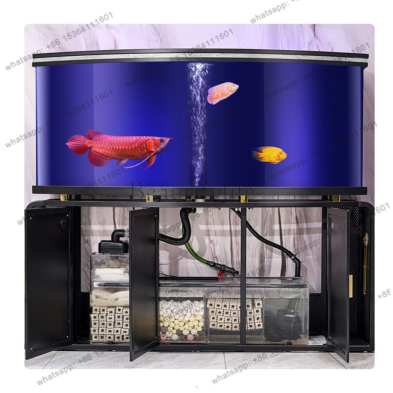 Nuovo acquario da soggiorno, g - Aquarium Fish Dragon recensione e prezzo