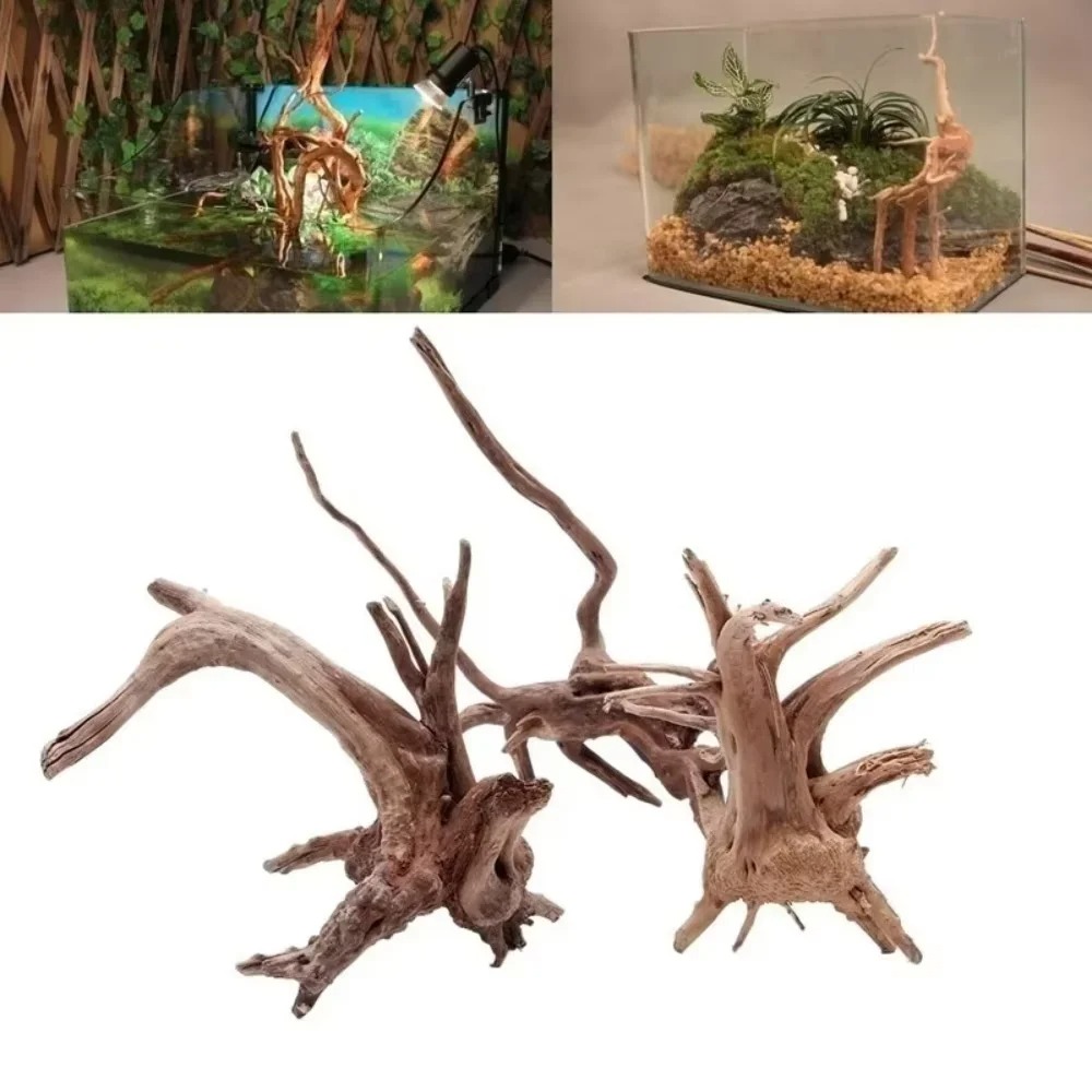 Legno Naturale per Acquario 15 - Aquarium Fish Guppy recensione e prezzo
