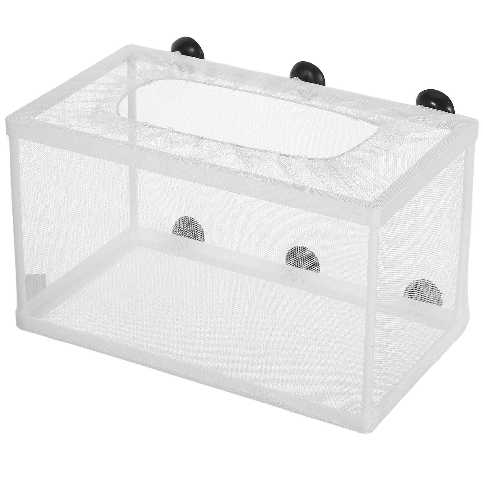 Rete per Pesci di Grande Dimen - Aquarium Fish Big Size recensione e prezzo
