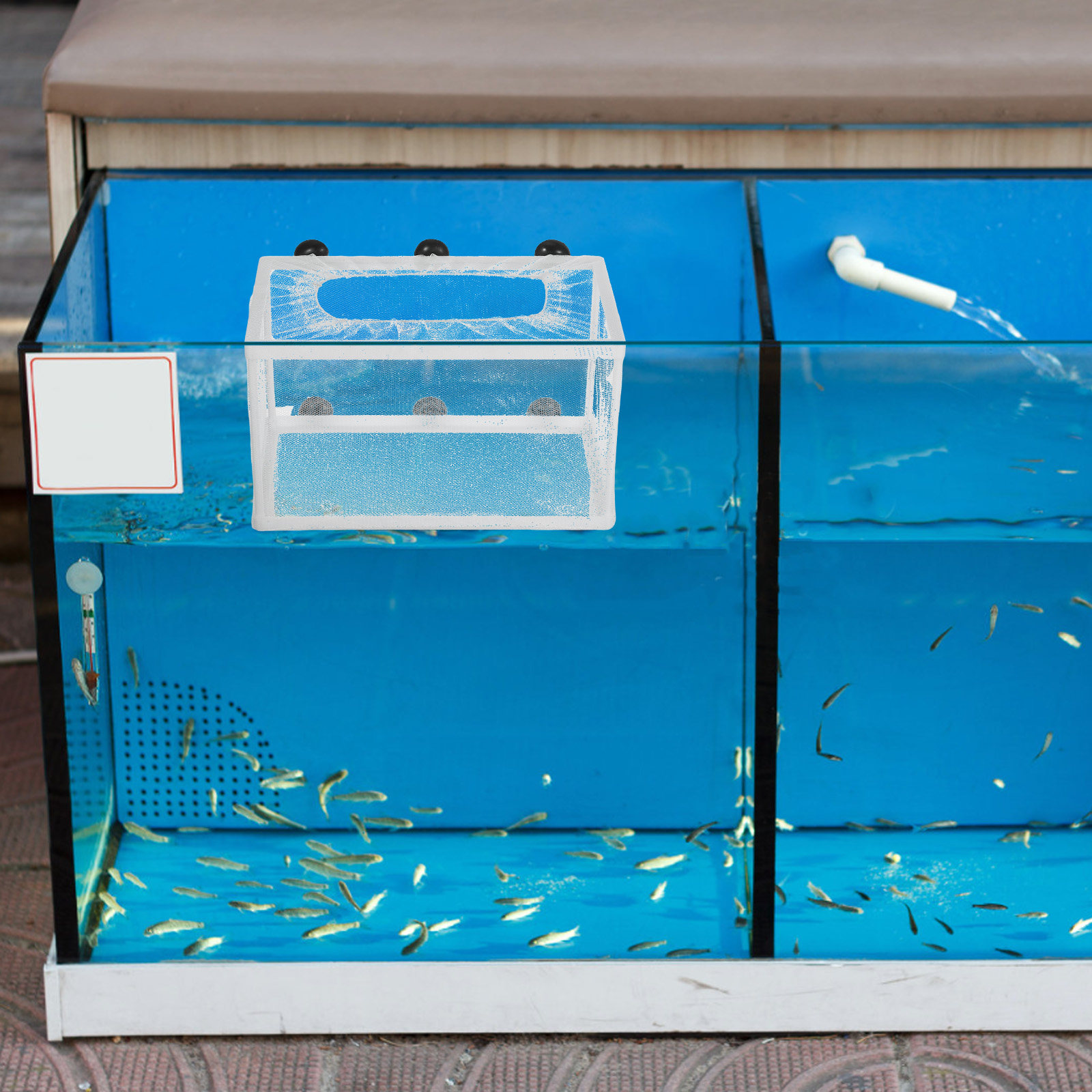 Rete per Pesci di Grande Dimen - Aquarium Fish Big Size recensione e prezzo