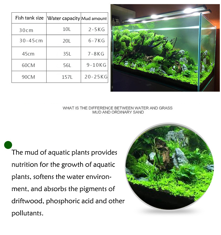 Acquario semi di piante terren - Aquarium Fish Freshwater recensione e prezzo