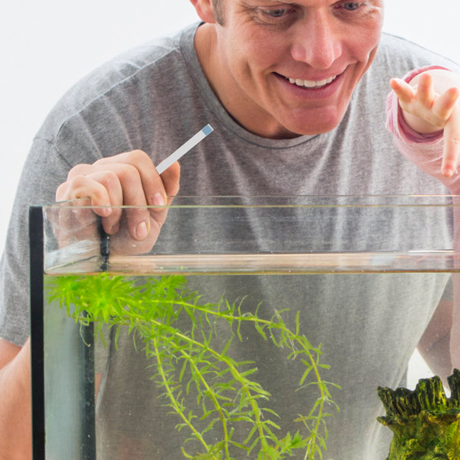 Strisce per Test Piscina, Test - Aquarium Fish Pond recensione e prezzo